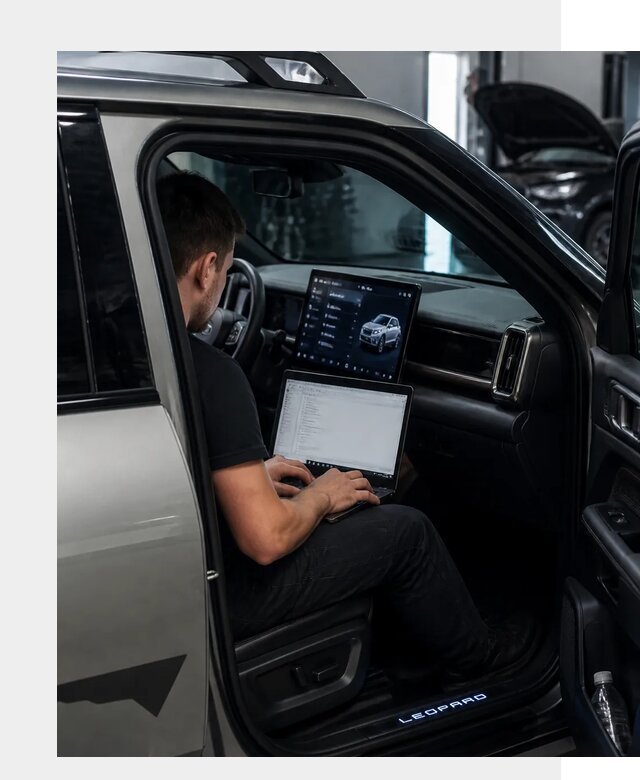 Русификация BYD Leopard 3 в Полевской по цене от 20427 р. | ФастМобиль-Плв